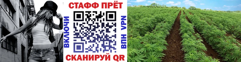 Где найти наркотики Оленегорск Alpha-PVP Меф Амфетамин ГАШИШ Канабис КОКАИН