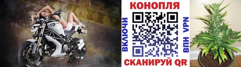 Конопля Ganja  Оленегорск 